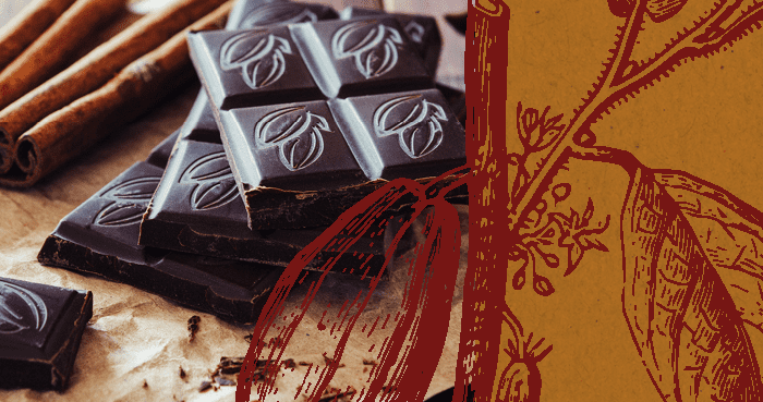 Cacau e a indústria de alimentos saudáveis