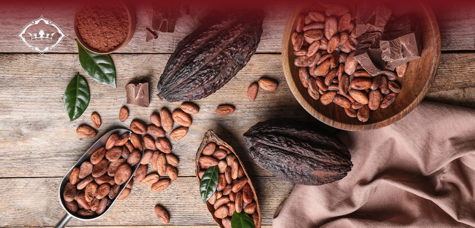 Como escolher cacau